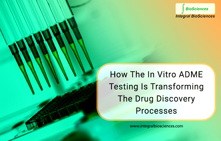 How The In Vitro ADME Testing Is Transforming The Drug Discovery Processes